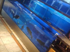 -巢爷老味(东方红店)