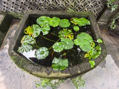-王家渡火锅(三苏祠店)