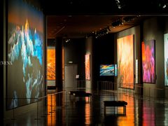 -罗红摄影艺术馆