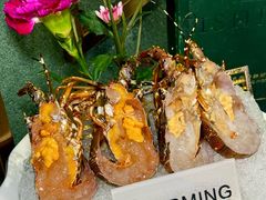 -喜聚薈·花膠雞海鮮火鍋(越秀店)