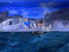 -暹罗海洋世界