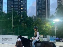 -名驭国际马术学院