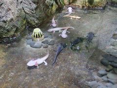 -青青世界