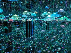 -深圳独角兽星空艺术馆