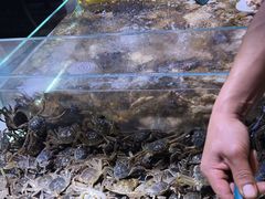 -聚盛源蒸汽海鲜火锅烤肉自助(巨川金海岸购物广场店)