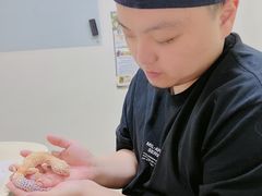 -美联众合动物医院·24h转诊中心