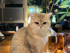 -咖法森林·咖啡  酒吧(天河店)