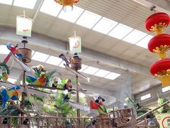 -南宫五洲植物乐园