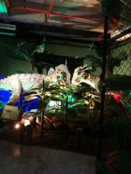 -恐龙探索乐园(磁器口店)