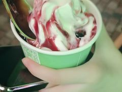 -Salud撒露欧洲冻酸奶(蓝色港湾店)