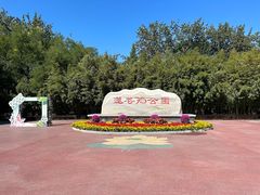 -莲花池公园