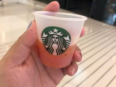 -星巴克(深圳世纪汇分店)
