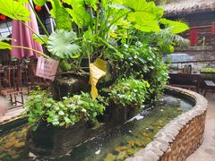 -园林美食城·本土农家菜(杨和镇店)