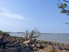 -吴淞炮台湾湿地森林公园烧烤区