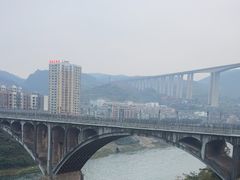 -江龙饭店·乌江豆腐鱼(乌江老桥头店)