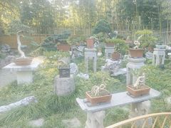 -个园
