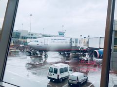 -谢列梅捷沃国际机场