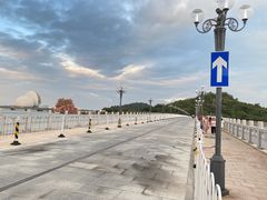 -野狸岛