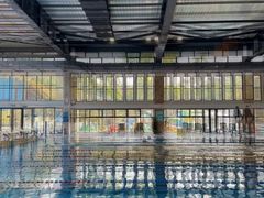 -广西体育中心-游泳馆