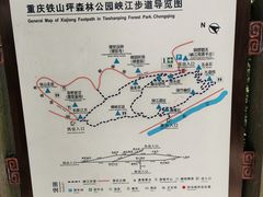 -铁山坪森林公园