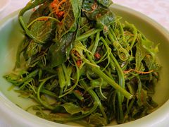 XO酱拌丝瓜苗-金蝉食府(维吉奥广场店)