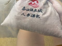-徂徕山森林康养度假谷温泉