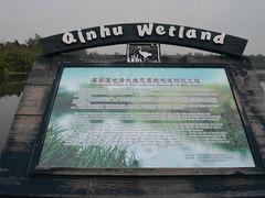 -溱湖国家湿地公园