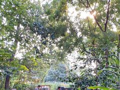 -成都市活水公园