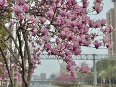 -杨高南路(地铁站)