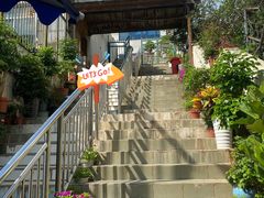 -曲阳花鸟市场(曲阳路店)