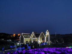 -大塘金香草谷