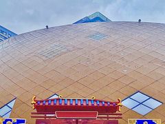 -重庆国际马戏城