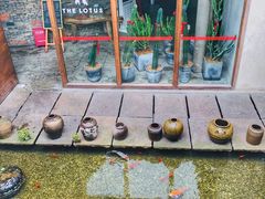 -几荷·恰似故人来(秀水广场店)