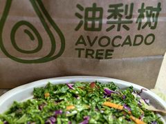 -油梨树AVOCADO TREE(顺义新国展店)