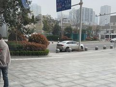 -一棠龙虾•王牌虾球(恒隆广场店)