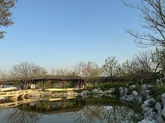 -上海滨江森林公园