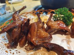 -一煲鸽