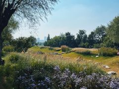 -汉长安城未央宫国家考古遗址公园