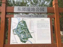 -东郊湿地公园