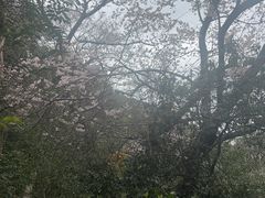 -北仑森林植物园