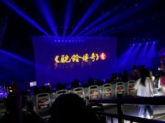 -《驼铃传奇》秀