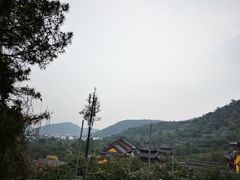-树山生态村
