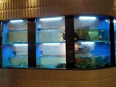 水产区-上海会馆(香港名都店)