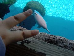 -珠海长隆海洋王国
