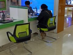 -中国电信(武林广场营业厅)