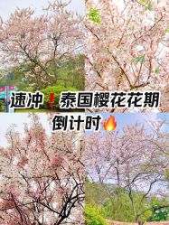 -番禺儿童公园
