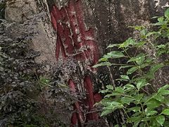 -牛岗山公园