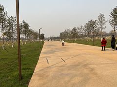 -汉长安城未央宫国家考古遗址公园