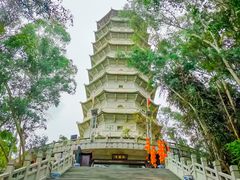 -深圳国际园林花卉博览园