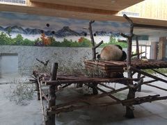 -西安秦岭野生动物园